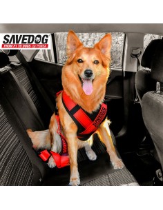 ARNÉS SEGURIDAD PERRO PONSA SAVEDOG 2