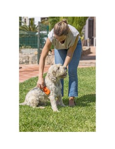 CEPILLO METALICO PERRO PETS CLUB NARANJA 2
