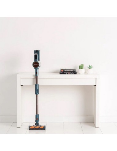 ASPIRADOR S/CABLE TAURUS 350 HOMELAND