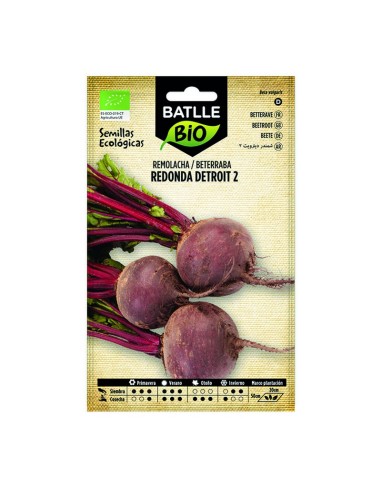 SEMILLAS REMOLACHA DETROIT - ECO 10 BOL