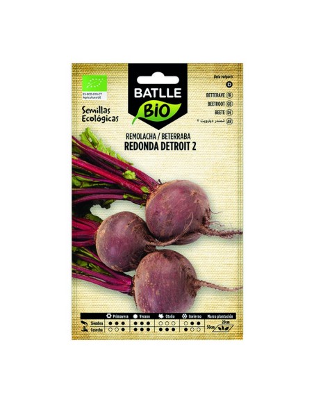 SEMILLAS REMOLACHA DETROIT - ECO 10 BOL