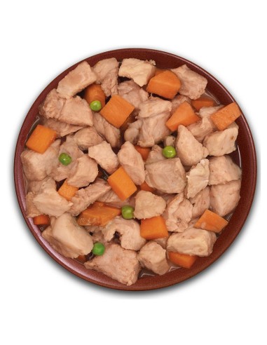 COMIDA PERRO ALPHA SPIRIT CERDO 280GR