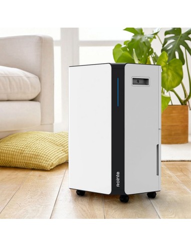 DESHUMIFICADOR PORTÁTIL ROINTE. 16