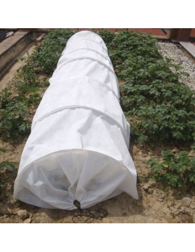 TÚNEL CULTIVO ANTIHELADAS PP