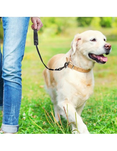 CORREA RETRÁCTIL PERRO COLOR SURTIDO