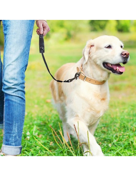 CORREA RETRÁCTIL PERRO COLOR SURTIDO