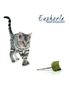 BARRITA GATO CROCI EUPHORIA MATATABI 2