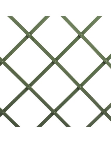 CELOSIA PLASTICA EXT. 2X1 VERDE