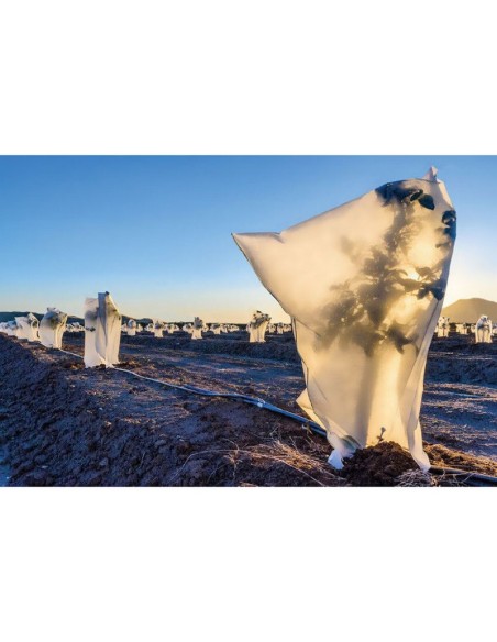 MANTA T. CULTIVO. 30 GR/M2.SACO 1,5X1,8M