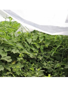 MANTA TERM. CULTIVO. 17 GR/M2.PAÑO 2X10M 2