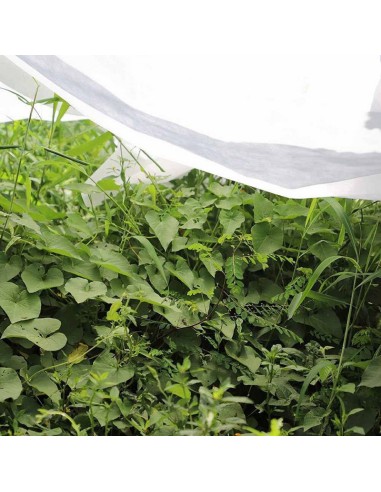 MANTA TERM. CULTIVO. 17 GR/M2.PAÑO 2X10M