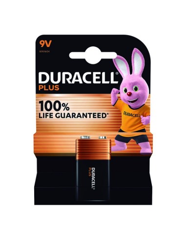 BL.1 PILA ALC.GAMA PLUS 9V 6F22