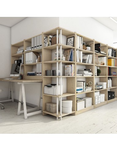 LIBRERÍA GALA 6 BALDAS