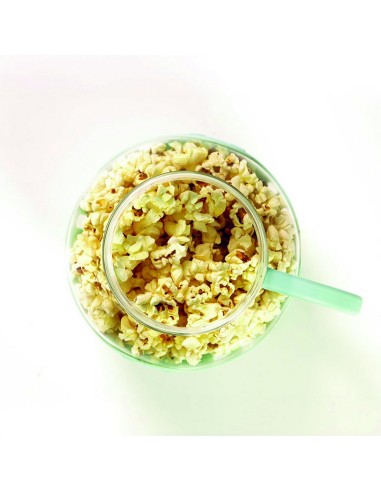 PALOMITERO MICRO TURQ. JOCCA