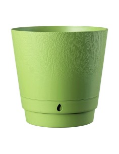 MACETERO VERDE OASIS DUNE N6 2