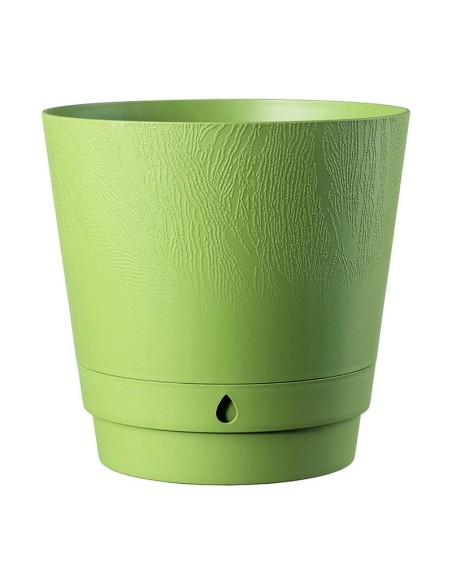 MACETERO VERDE OASIS DUNE N6
