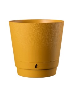 MACETERO DUNE AMARILLO N8